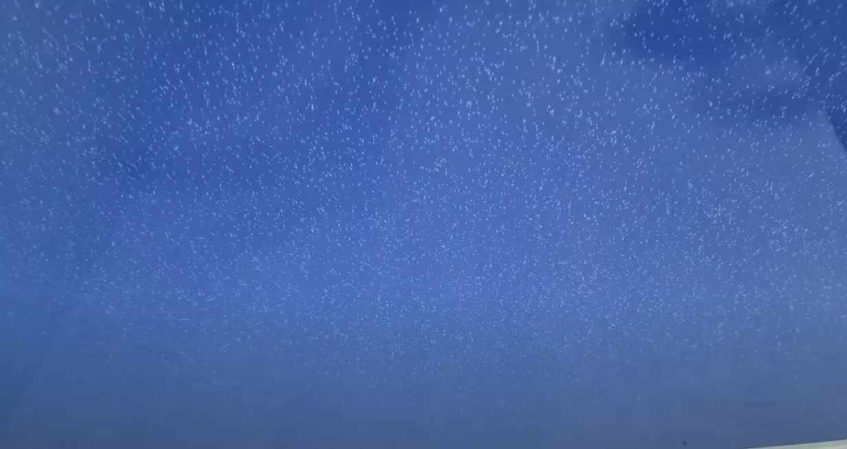 Самара, Свободы, 22, фото 3